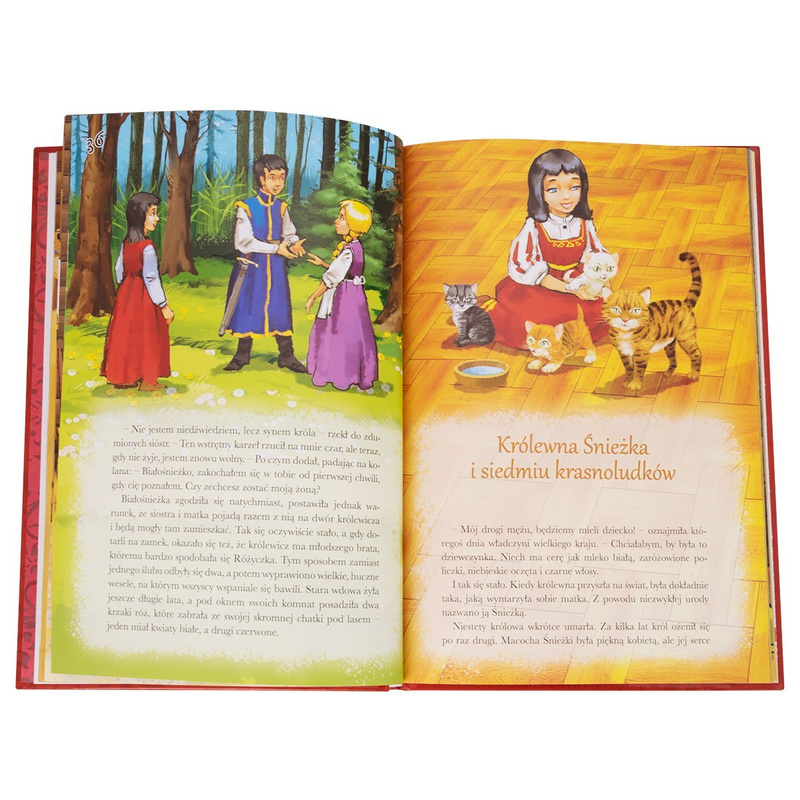 Baśnie dla Dzieci - Jakub i Wilhelm Grimm