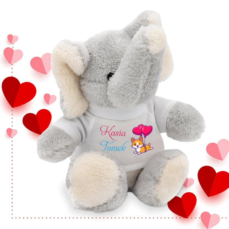 Słoń z koszulką
